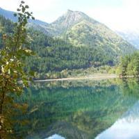 專注入境旅游業(yè)務(wù)，打造卓越旅行體驗(yàn)