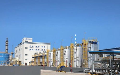 東營2021年重點項目觀摩 萬達集團四大項目引領產業升級，助推國內旅游業務發展