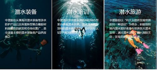 潛水公司加速趕頂，終須一別 從溫州幫現象看國內旅游業務轉型